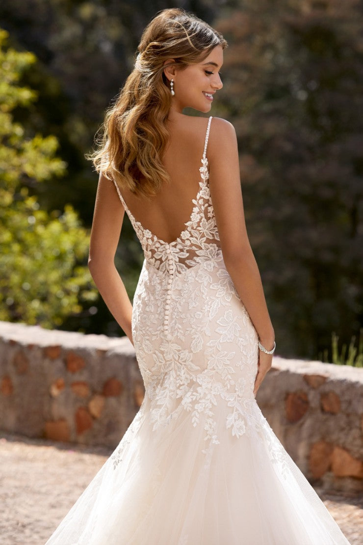 Sophia Tolli- Skylar