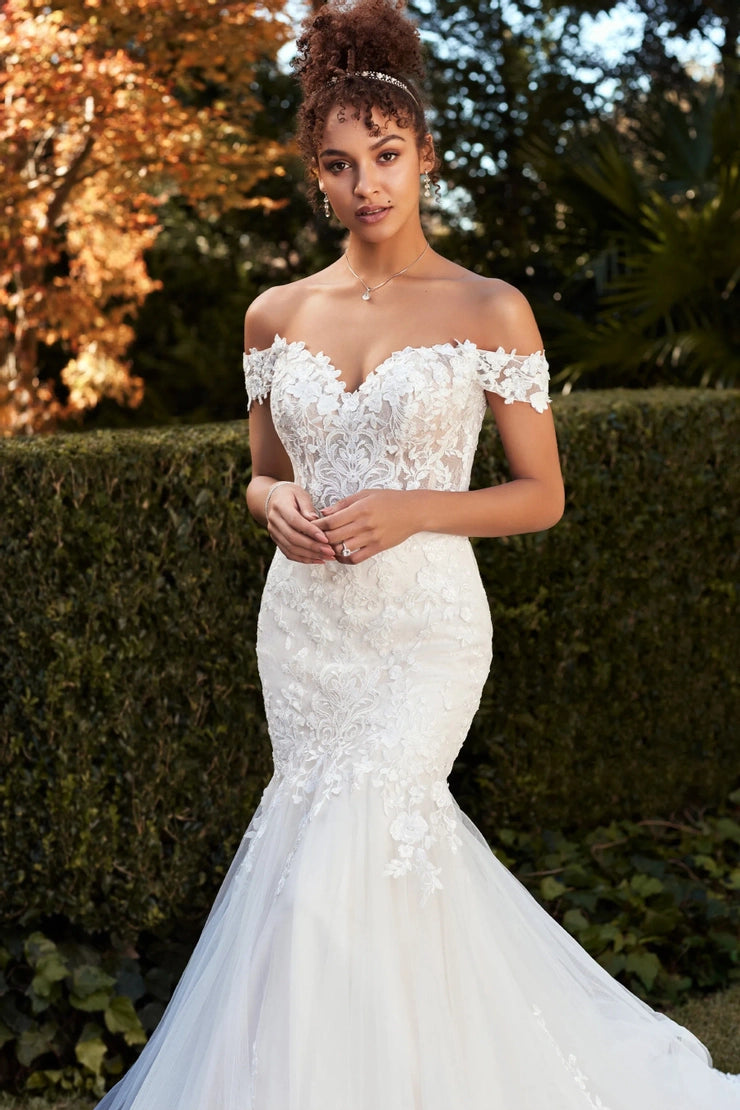 Sophia Tolli- Molly