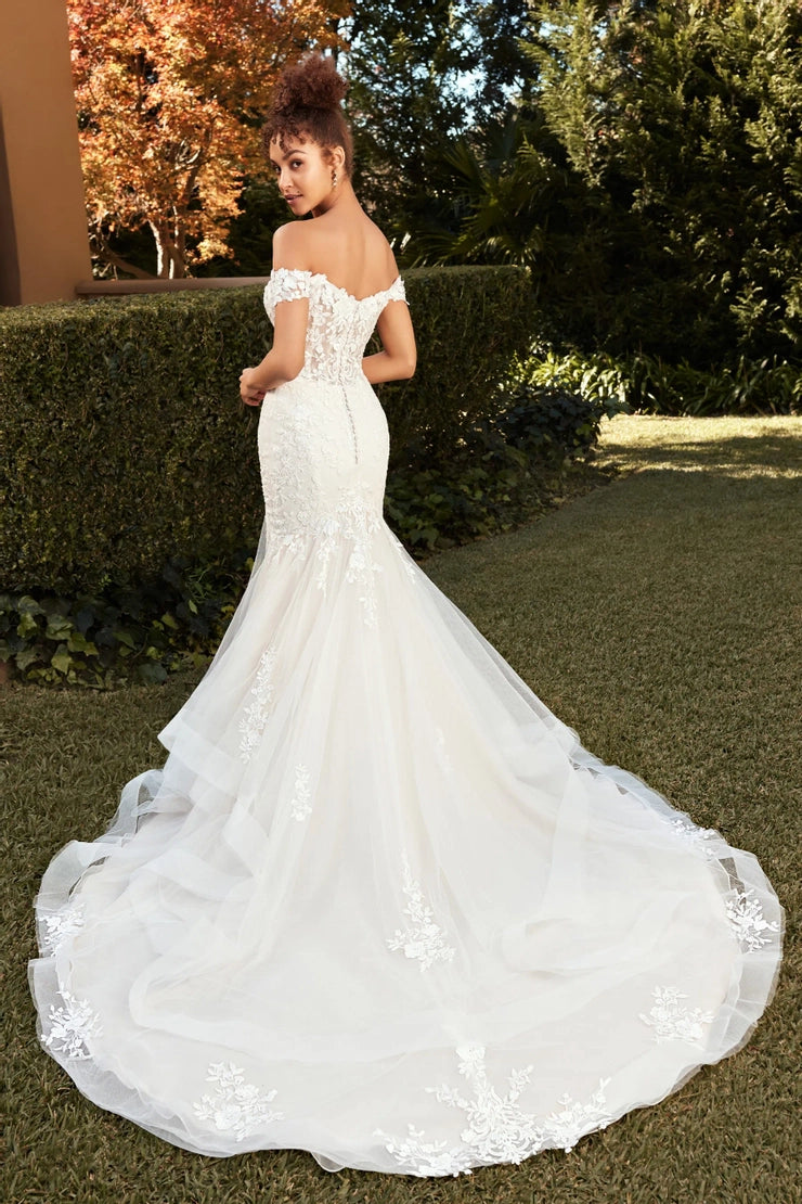 Sophia Tolli- Molly