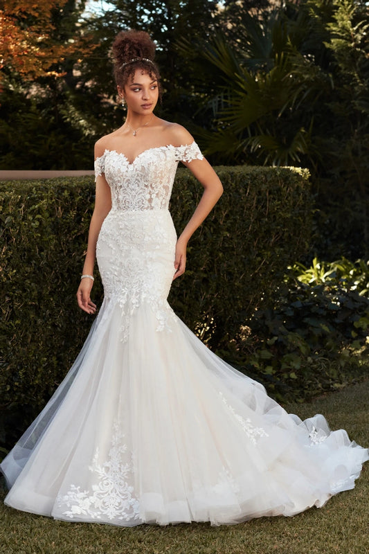 Sophia Tolli- Molly