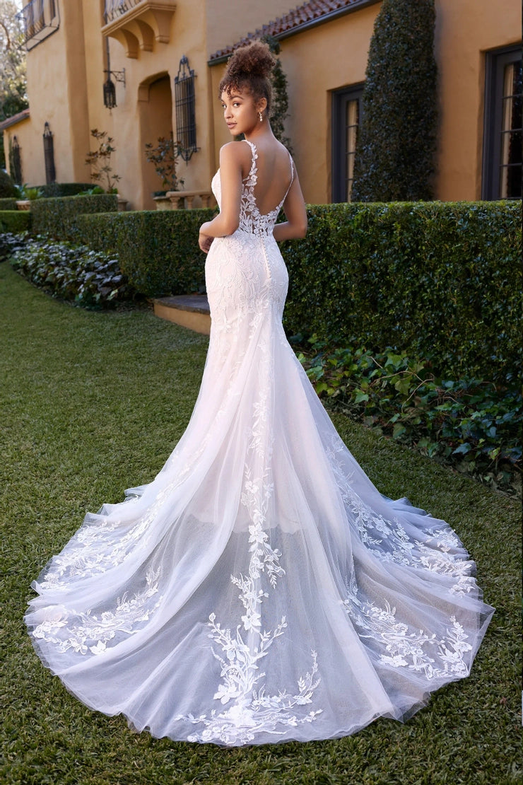 Sophia Tolli- Jackson