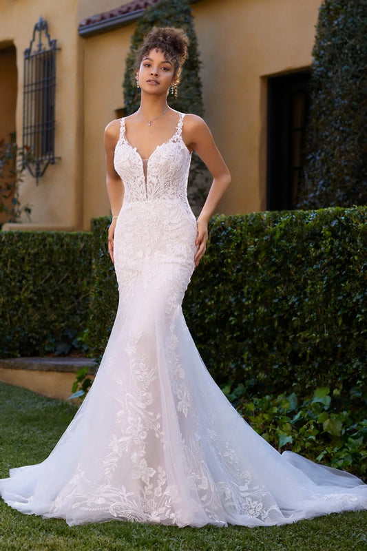 Sophia Tolli- Jackson